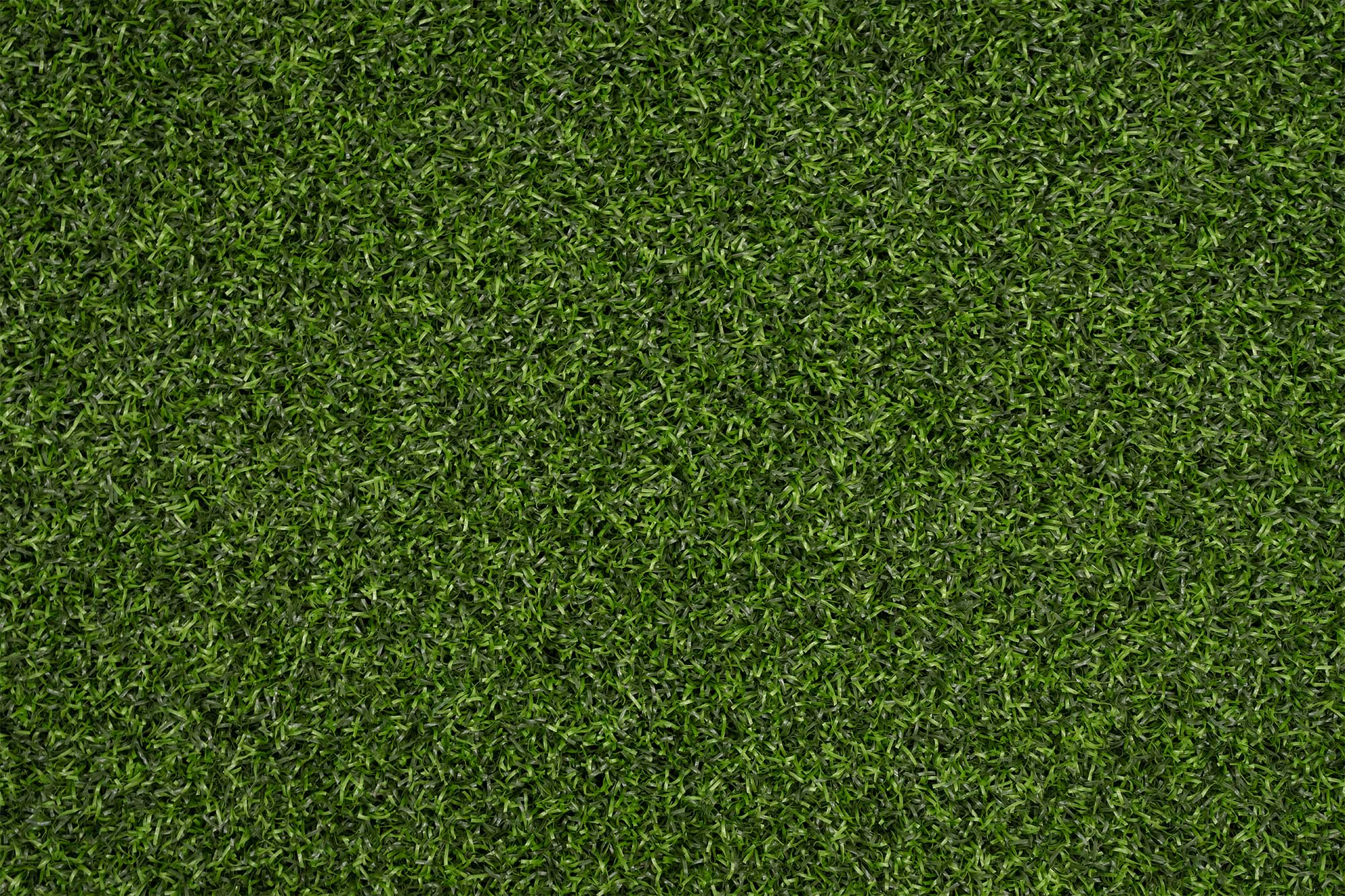 Synthetic Turf Northwest Pro Putt Closeup